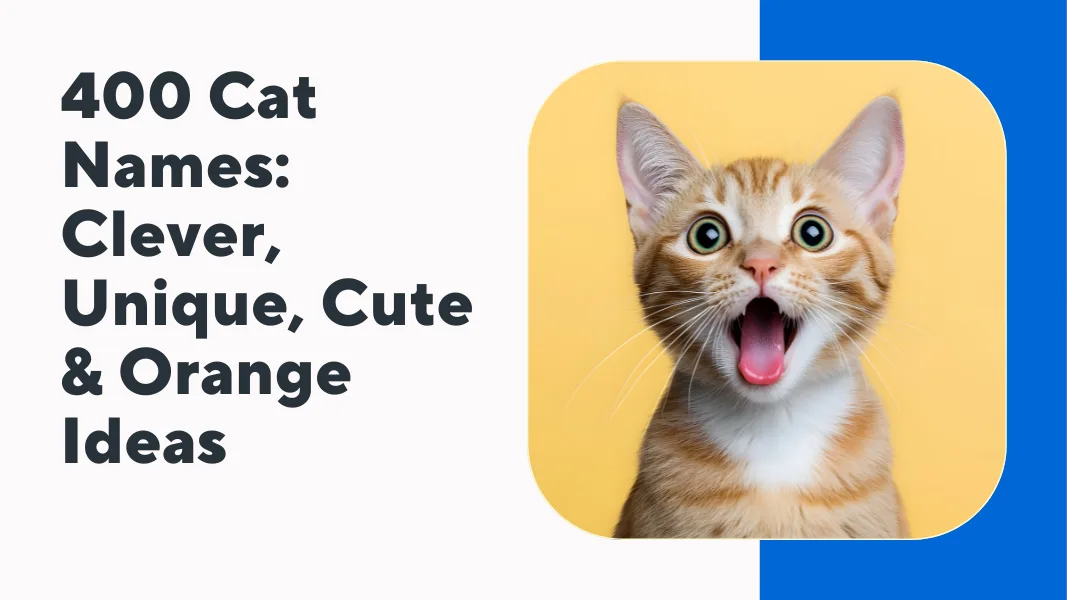 Cat Names
