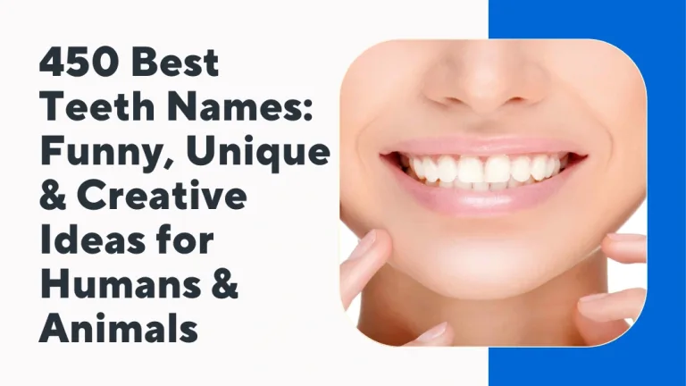 Teeth Names (2)