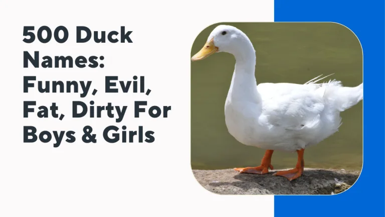 Duck Names