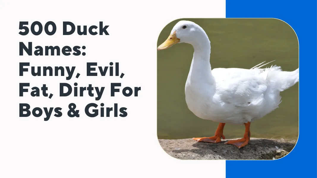 Duck Names