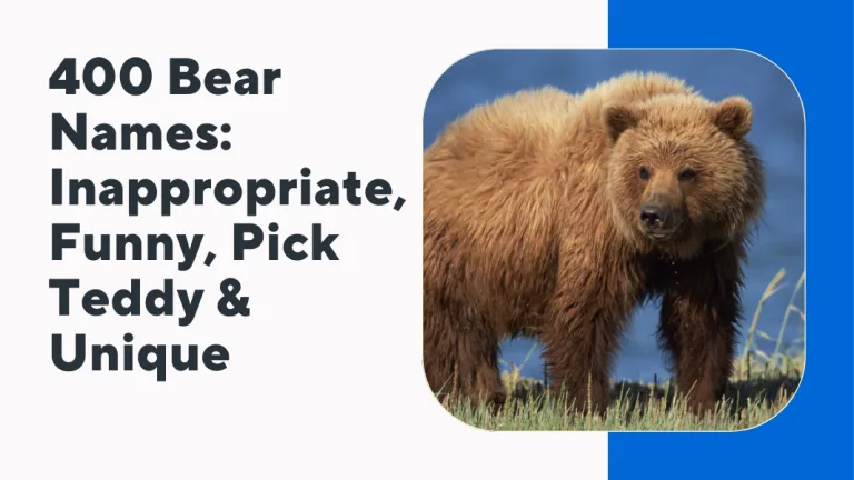 Bear Names