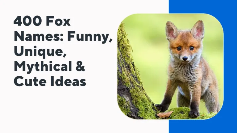 Fox Names