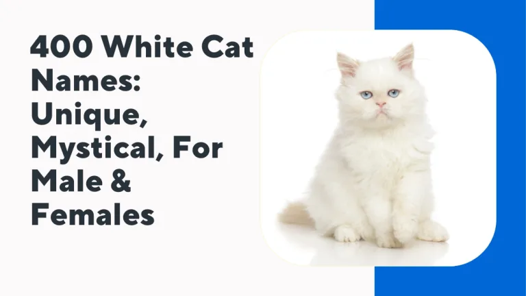 White Cat Names