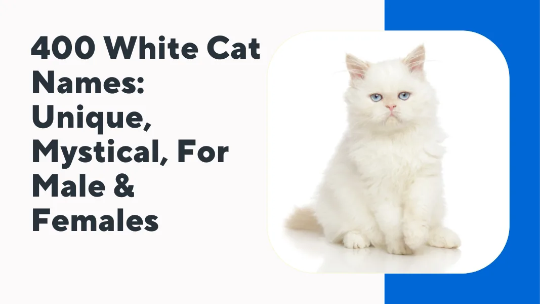 White Cat Names